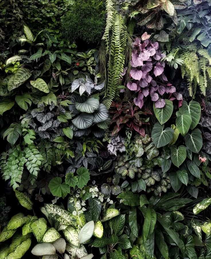 Botanical Garden Image